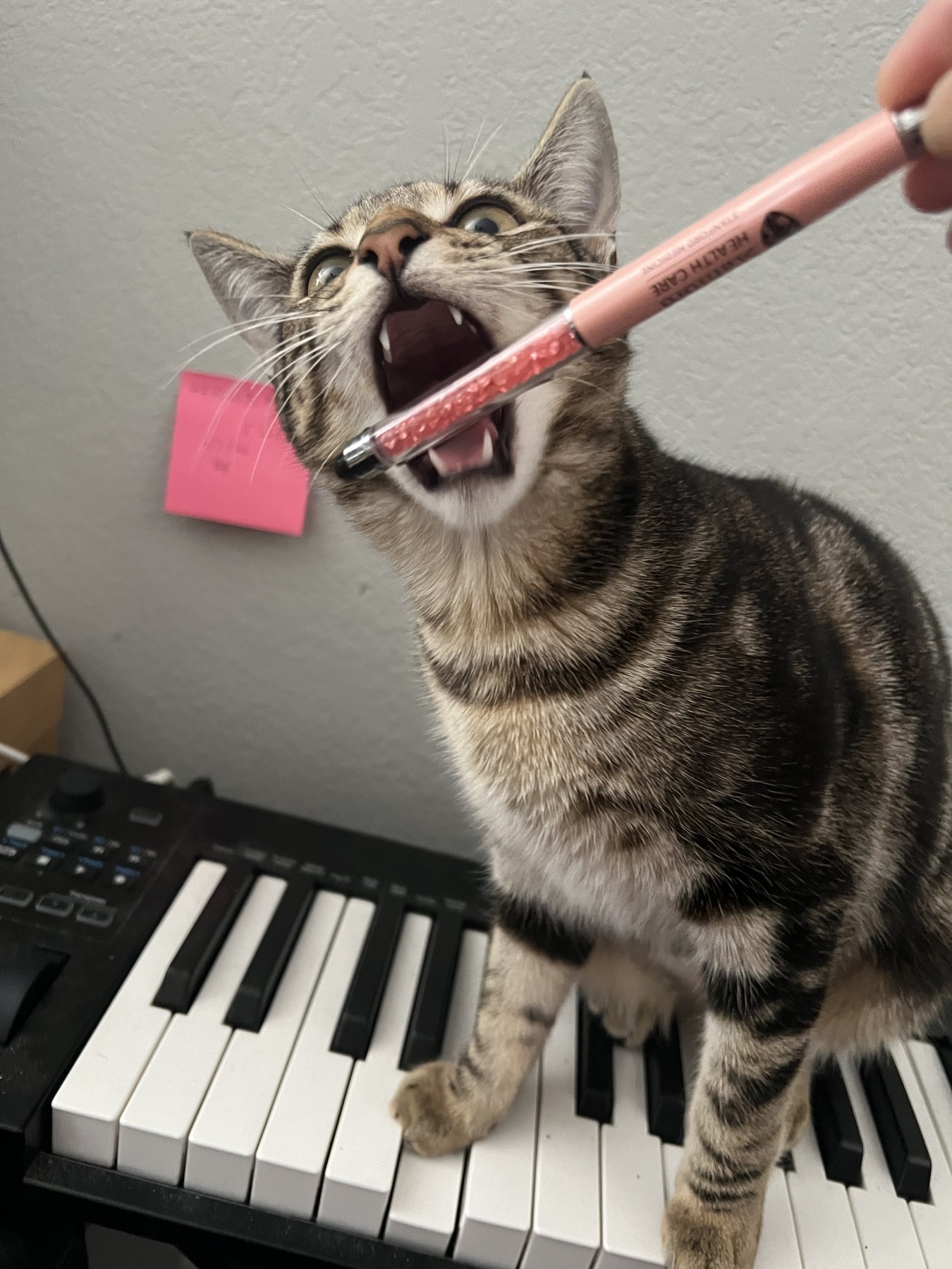 A little help at the piano