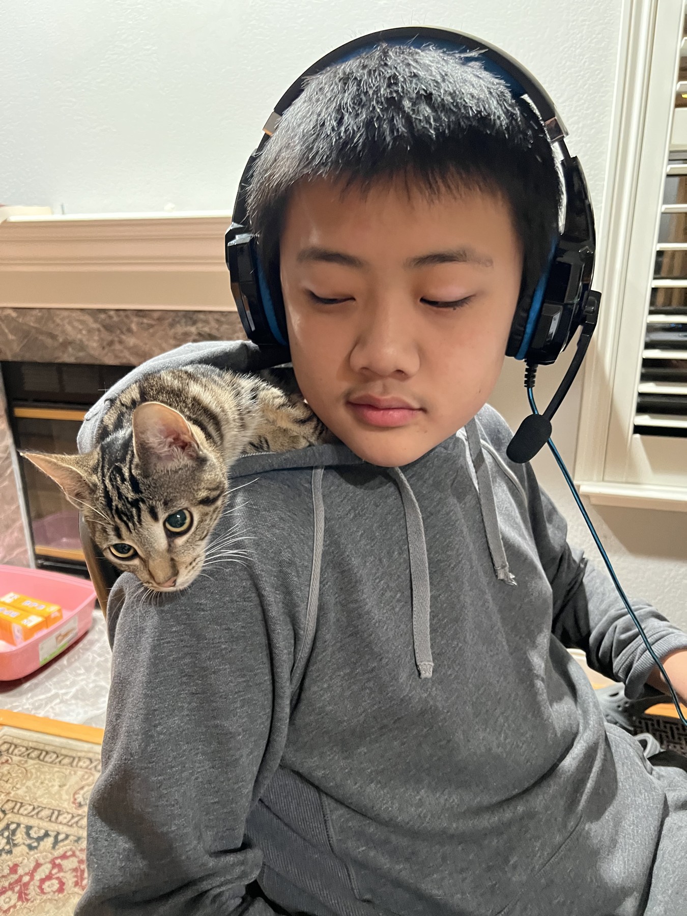 My little shoulder companion