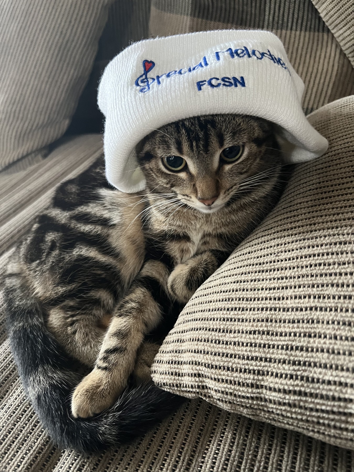 Trying on my FCSN hat