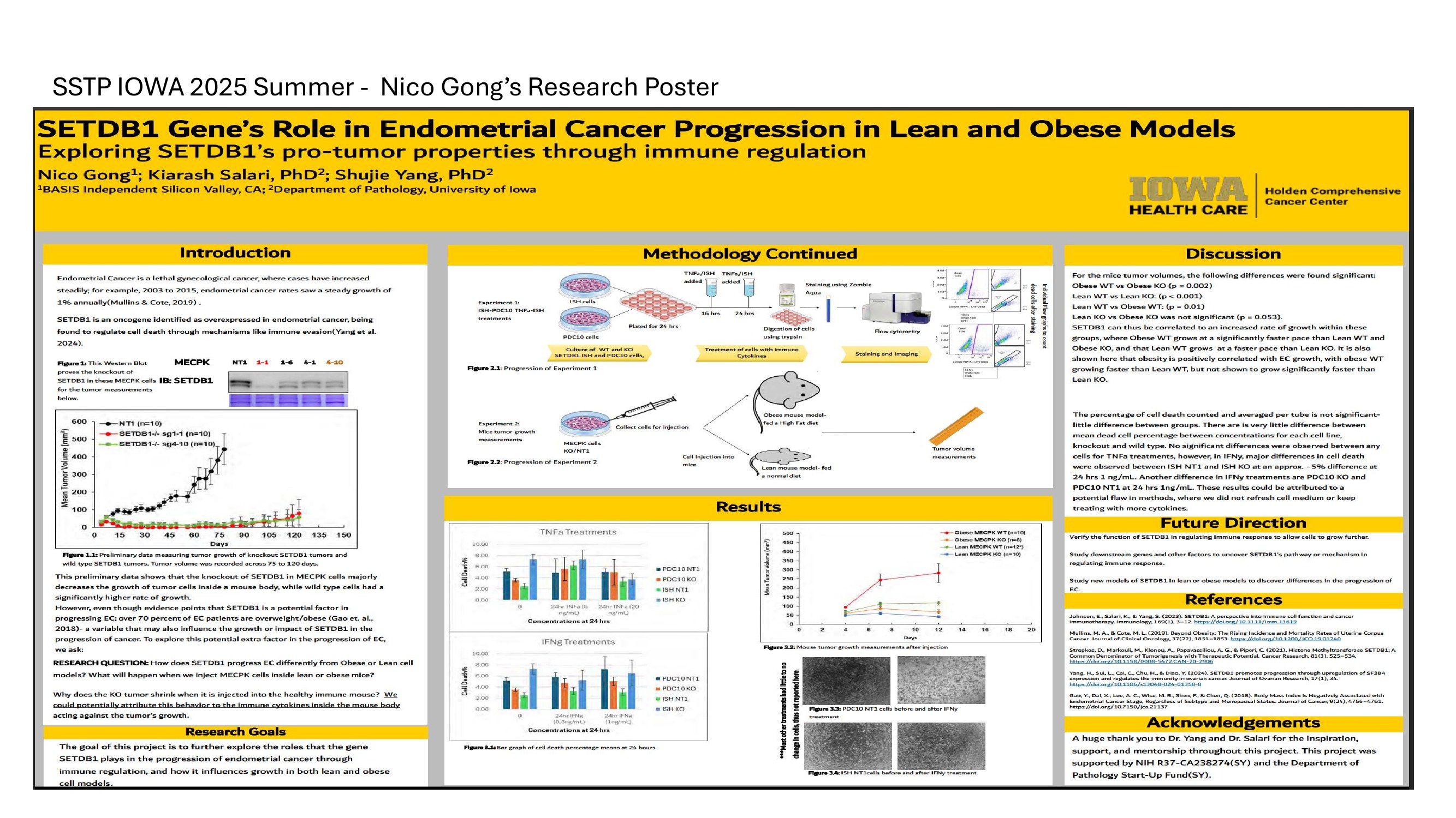 SETDB1 Gene's Role in Endometrial Cancer Progression in Lean and Obese Models