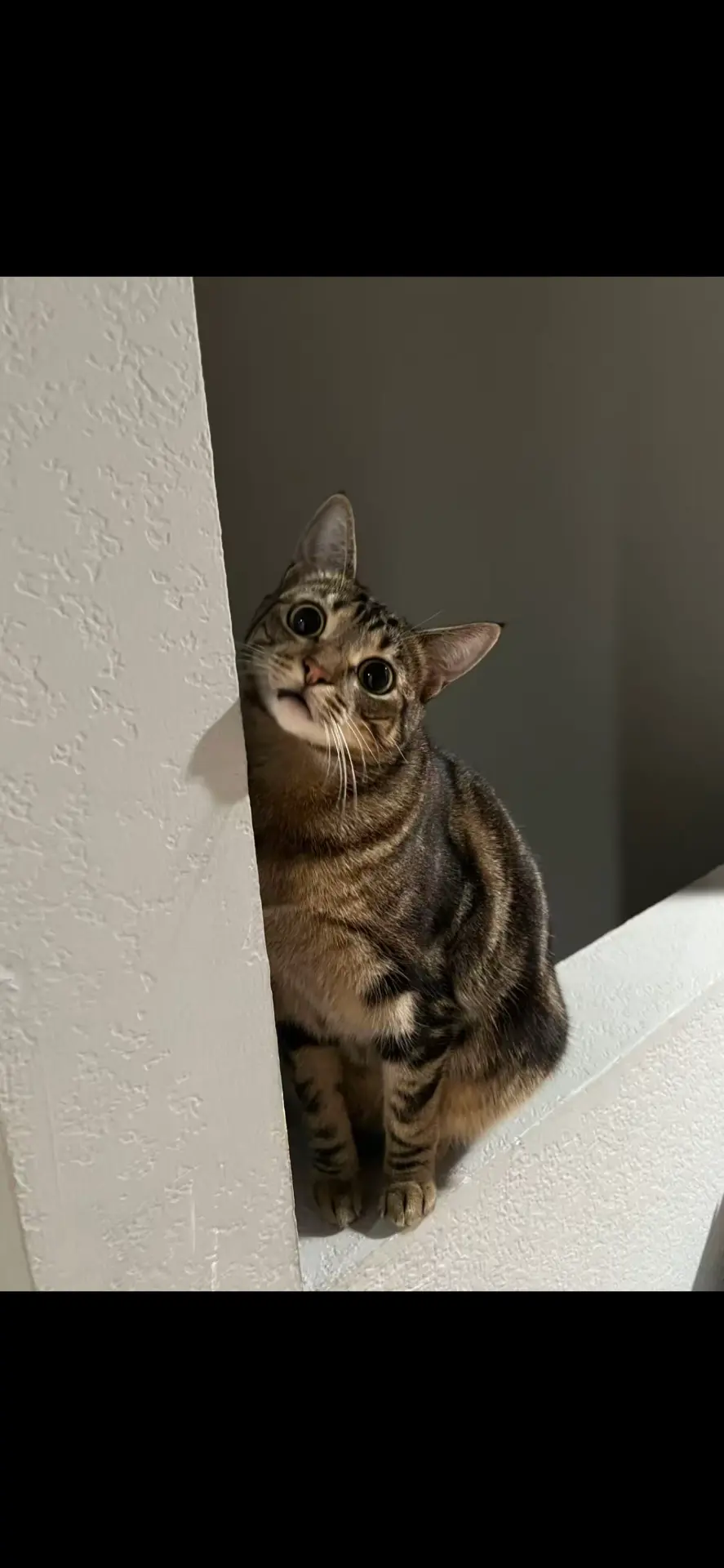 Peeking around the corner