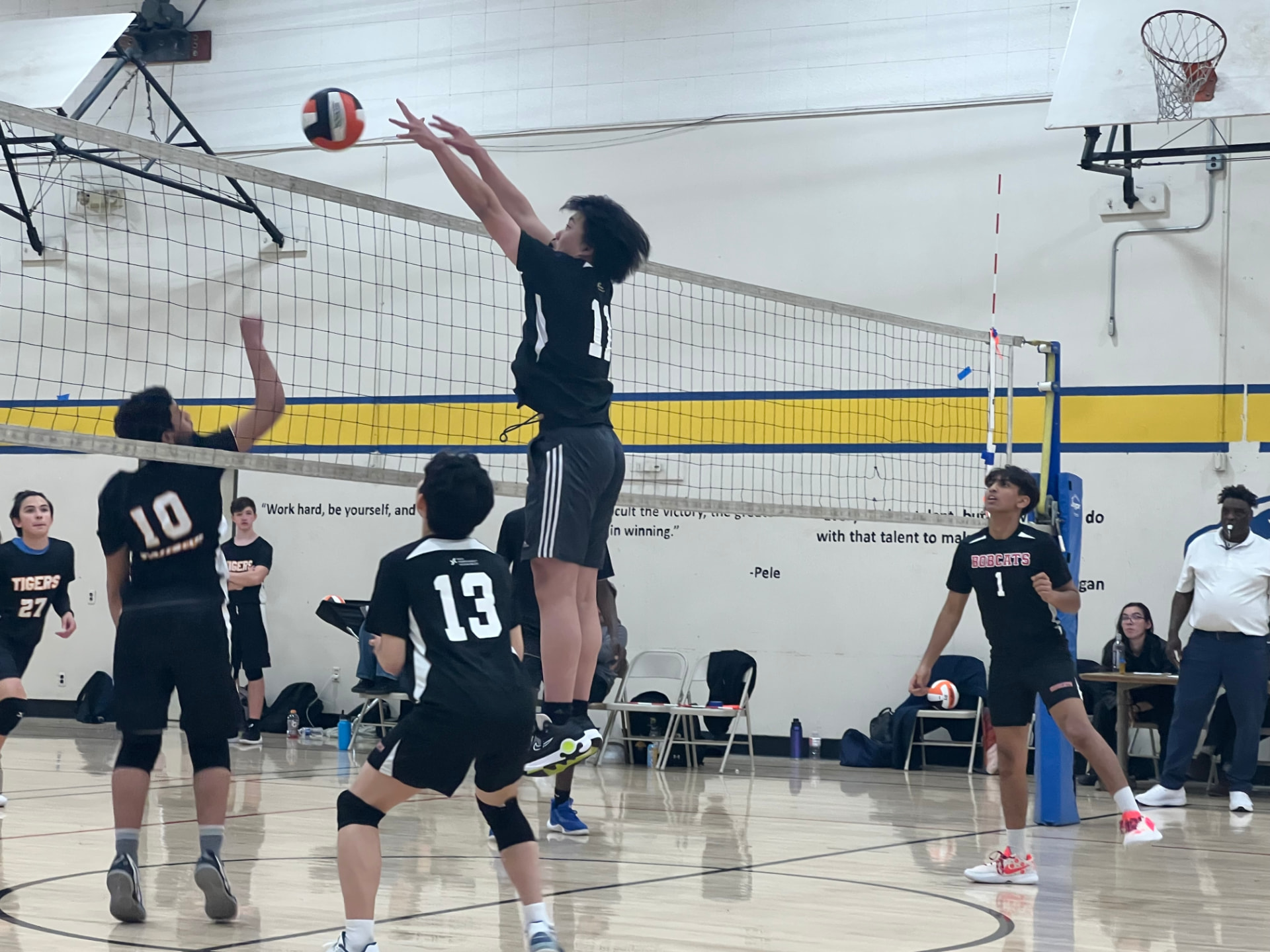 Volleyball
