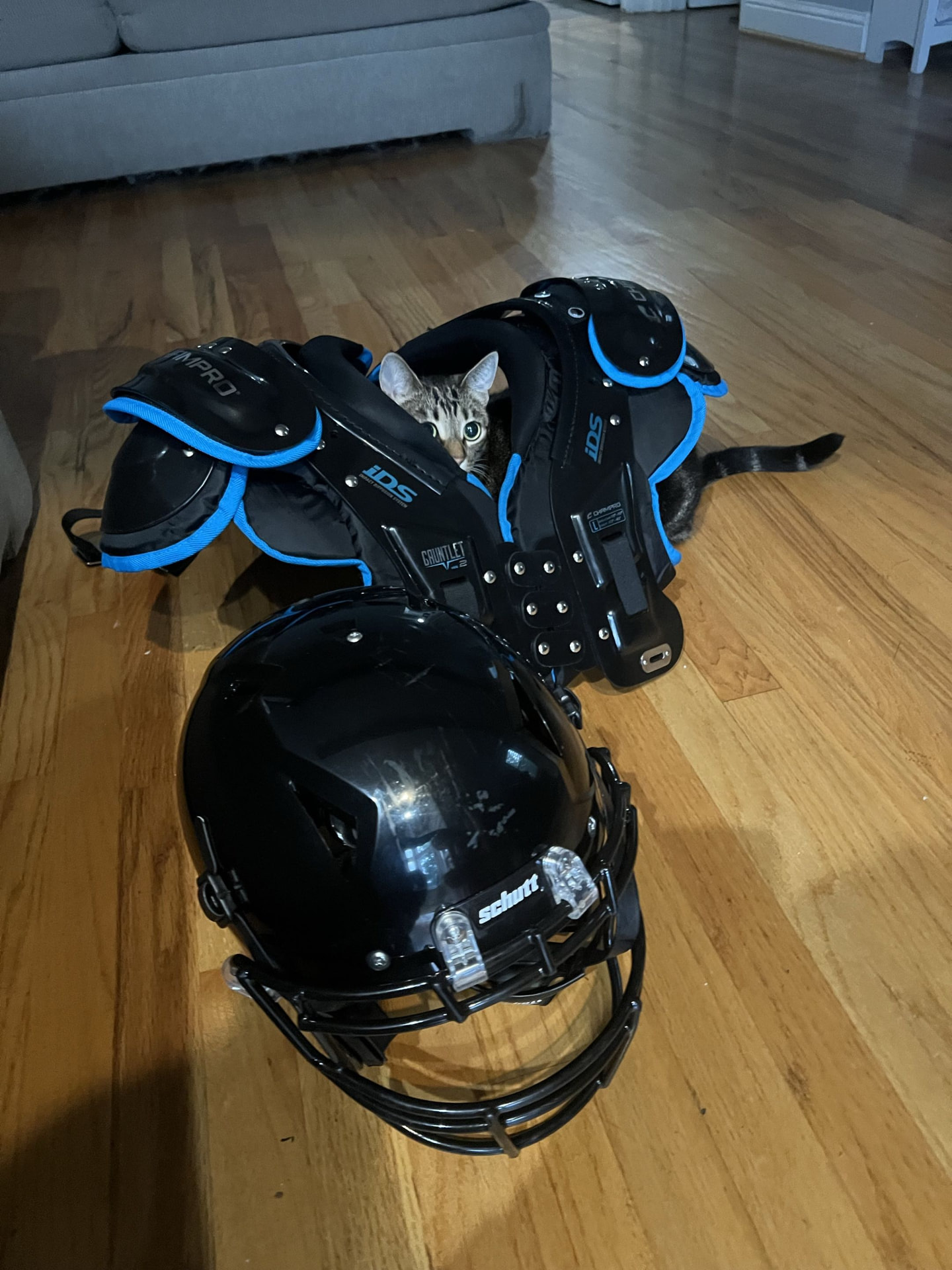 Suited up for game day