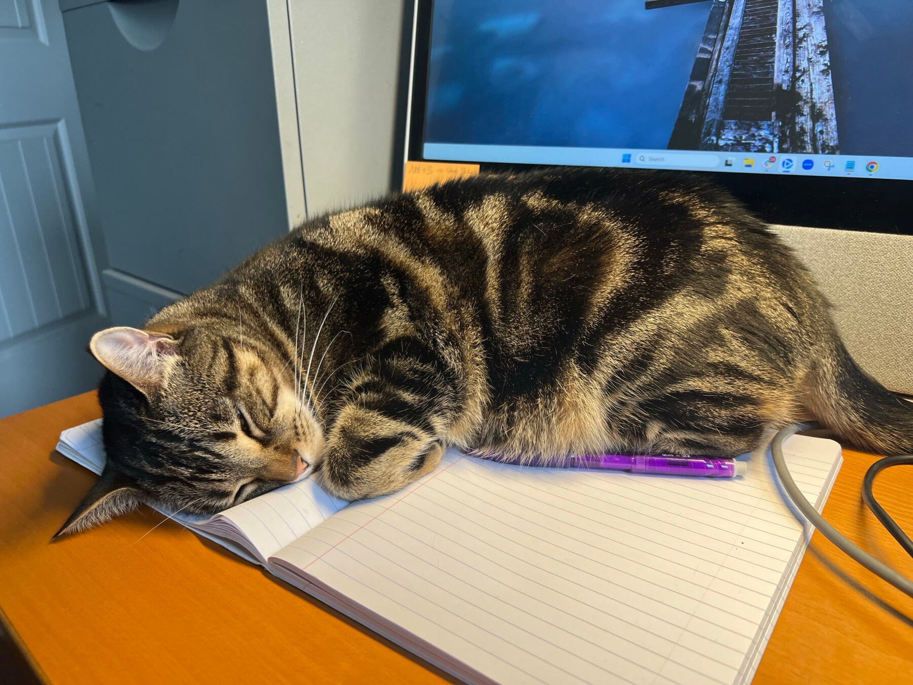 Claimed the notebook